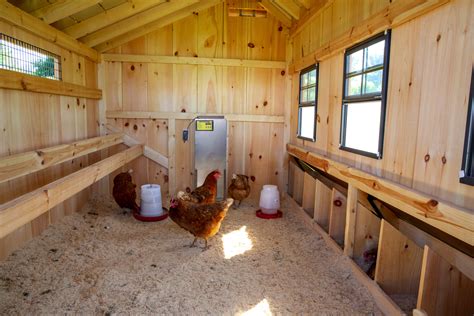 turning a shed into chicken coop